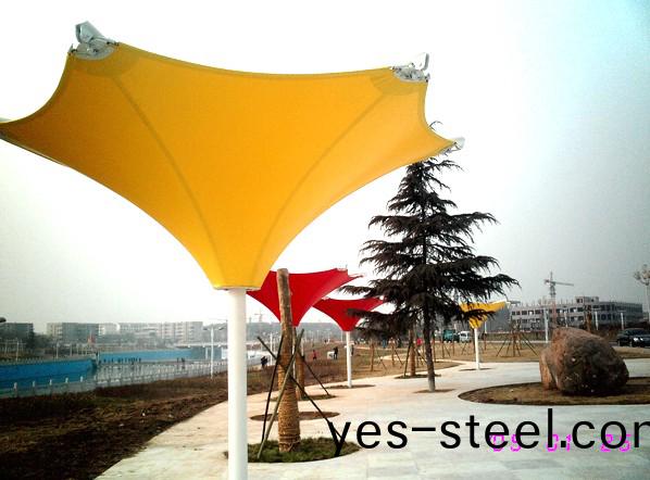 ��ɫĤ�ṹ����